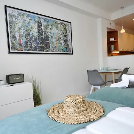 Appartamento 9 Rue Buttura Cannes